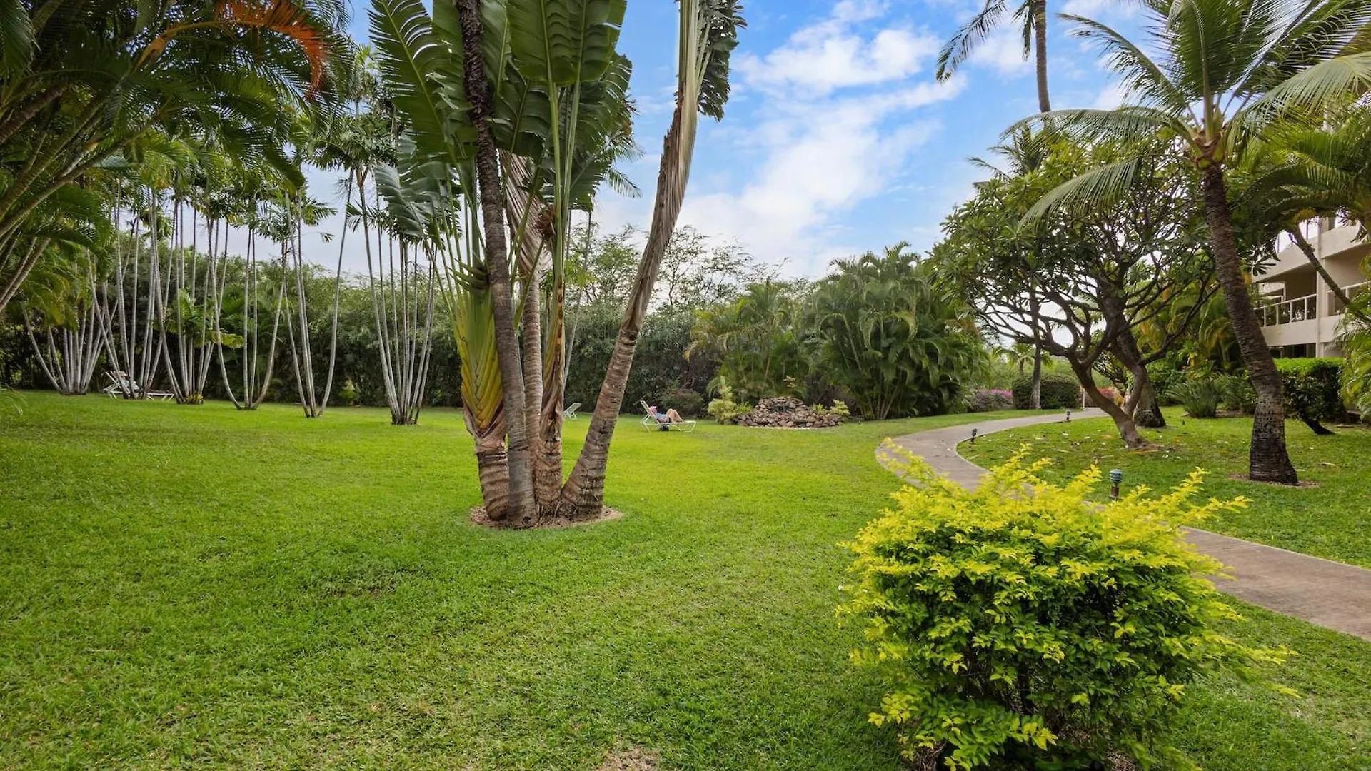 Beautiful Modern Remodeled Maui Banyan Studio Wailea  United States
